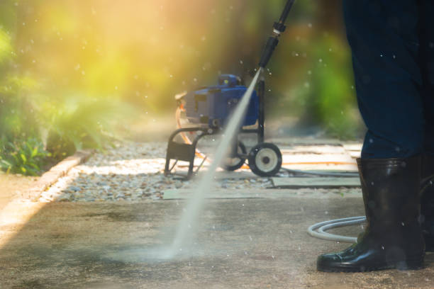 Best Driveway Pressure Washing  in Dexter, MI